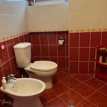 Whole Flat Near Daire Shkodër